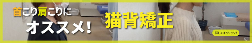 首こり肩こりのオススメ。猫背矯正ならあおば整骨院